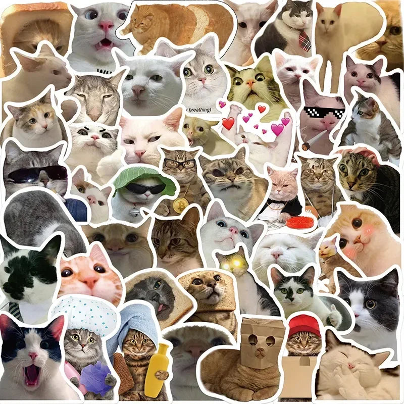 Cat Lover Meme Stickers